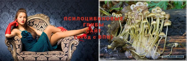 стафф Вязники
